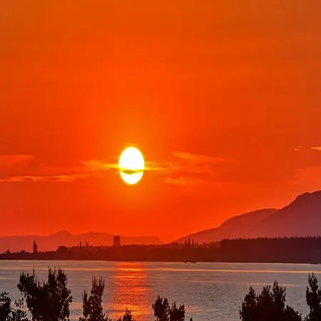 Immortelle * Rovanjska